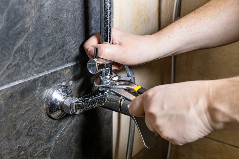 Top Shower Remodeling Companies in Spring Branch, TX